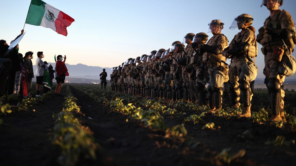 National Guard troops block protesters from an ICE raid at a nearby cannabis farm in California.