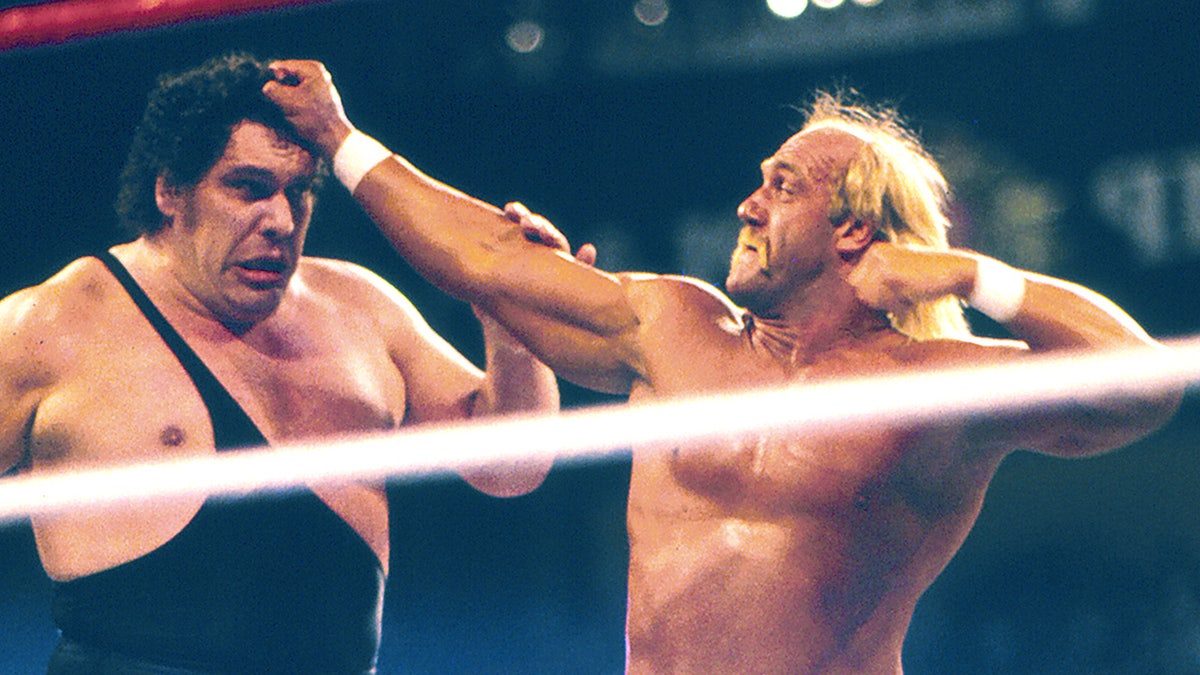 hogan v. andre the giant