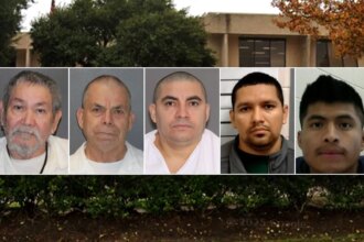 ICE in Houston releases new details about arrested illegal child sex offenders
