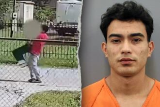 Chilling video allegedly shows illegal migrant dragging screaming sex trafficking victim back to captivity