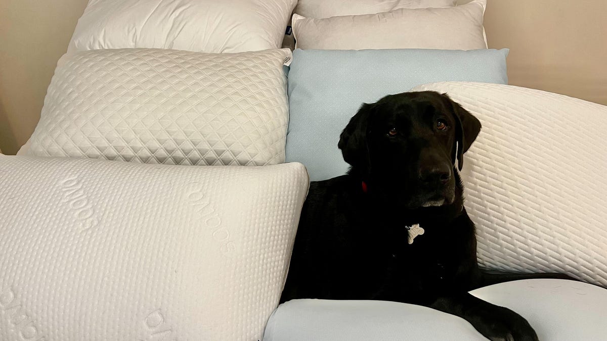 Best Pillows for Back Sleepers, Tested by a Sleep Expert