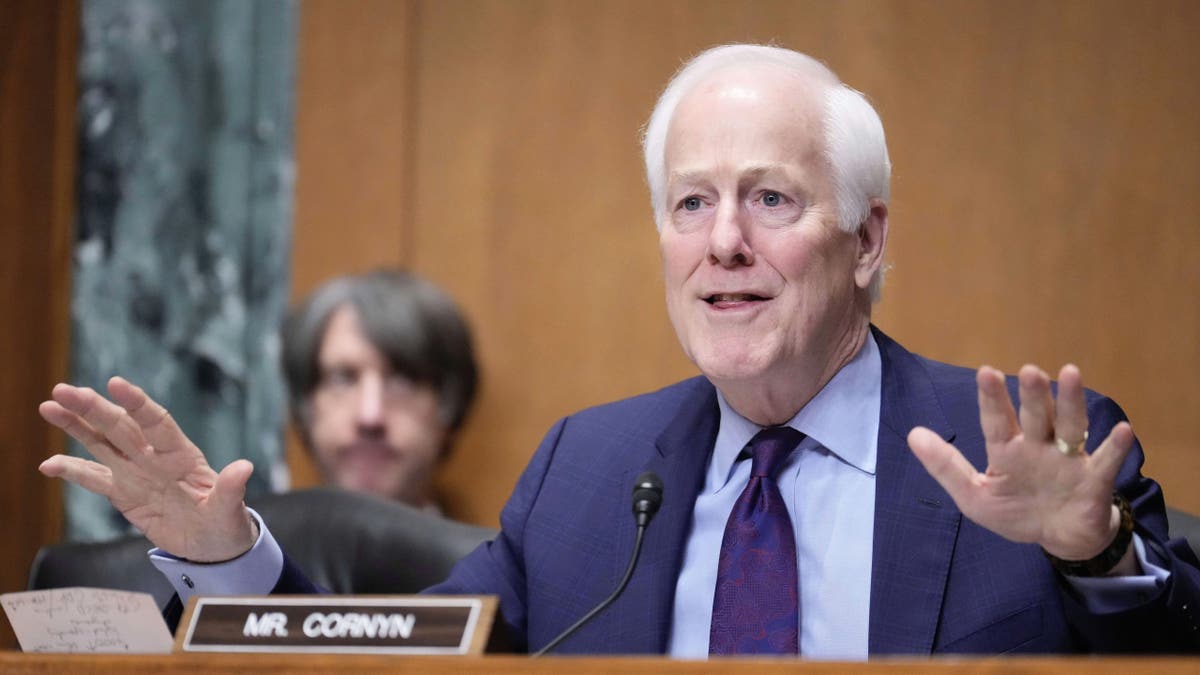 Sen. John Cornyn, R-Texas, seen at a Senate hearing on Capitol Hill in Washington, Friday, on March 14, 2025, is running for re-election next year.