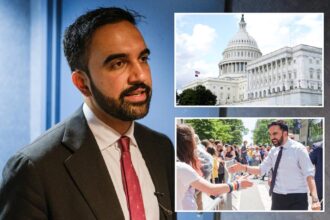 Exclusive | NY Young Republican Club urges Congress to disqualify Mamdani from NYC mayoral race – accuses him of giving US enemies ‘aid and comfort’
