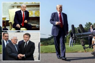 Trump OKs Israel annihilating Hamas:  ‘I think they want to die’ 