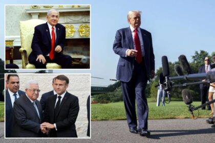 Trump OKs Israel annihilating Hamas:  ‘I think they want to die’ 
