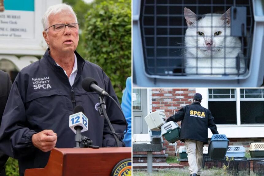 Nassau County animal hoarders, owners who leave pets in hot cars could end up in  jail under newly passed bill