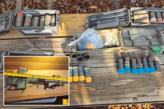 Virginia man who cheered ‘political assassinations’ pleads guilty after 150 pipe bombs are seized from home