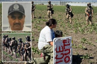Migrant farm worker dies after falling 30-feet from roof during chaotic California pot farm raid