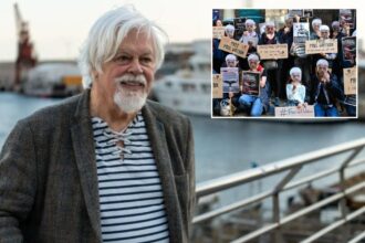 Interpol takes anti-whaling campaigner Paul Watson off most-wanted list