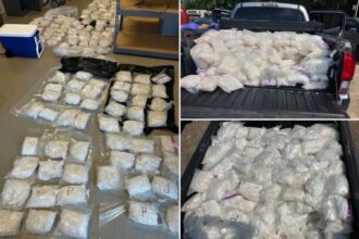 Massive haul of methamphetamine seized in one of Minnesota’s ‘largest meth busts’ ever