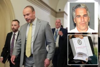 FBI Deputy Director Dan Bongino weighs quitting over Trump admin handling of Jeffrey Epstein ‘client list’
