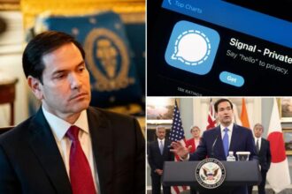 AI-powered Rubio impersonator makes calls to foreign ministers, other top officials: report