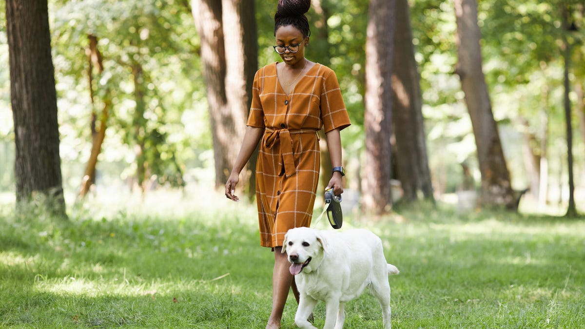 With Trends Like ‘Japanese Walking,’ Is Walking Actually Exercise? We Asked Personal Trainers