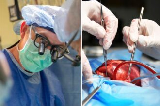 Researchers try new ways of preserving more hearts for transplants