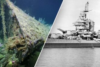 WWII American warship’s severed bow found 80 years after being blown off in battle