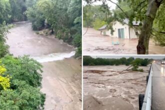 Wild video shows entire house with cat inside floating away in Texas flooding, smashing into bridge
