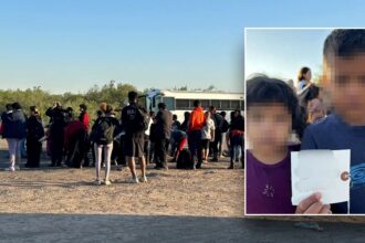 Border crisis under Biden reveals shocking abuse of migrant children placed with unvetted sponsors: DHS