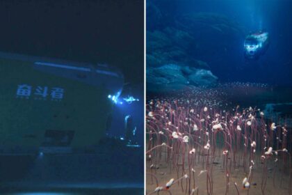 Researchers discover never-before-seen aquatic life hiding in the darkest depths of the ocean