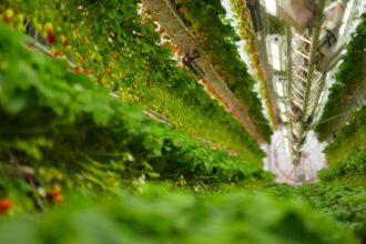 Dyson Reveals Futuristic Farming Vision