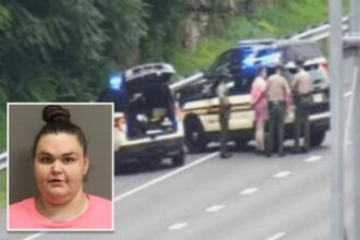 Felon leads cops on 4-hour long slow motion chase with speeds of 7 mph in stolen car