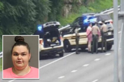 Felon leads cops on 4-hour long slow motion chase with speeds of 7 mph in stolen car