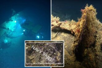 Long-lost bow of WWII ship found nearly 83 years after it was blown off in Japanese torpedo strike