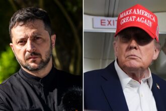Zelenskyy touts ‘fruitful’ Trump call after US president was ‘disappointed’ by Putin talk