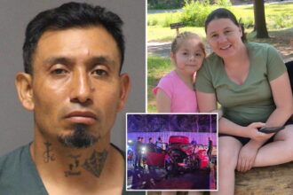 Illegal migrant — not deported despite multiple DUI and domestic violence raps — allegedly kills mom, 11-yr-old daughter in horrific wrong-way crash
