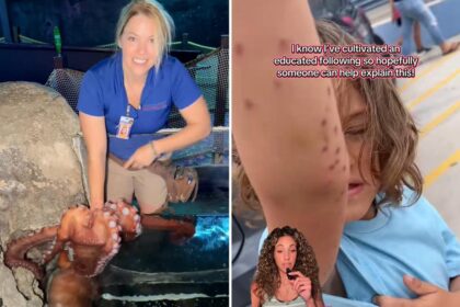 Angry mom blasts ‘wild’ giant octopus attack on child at aquarium: ‘I’m about to become a menace’