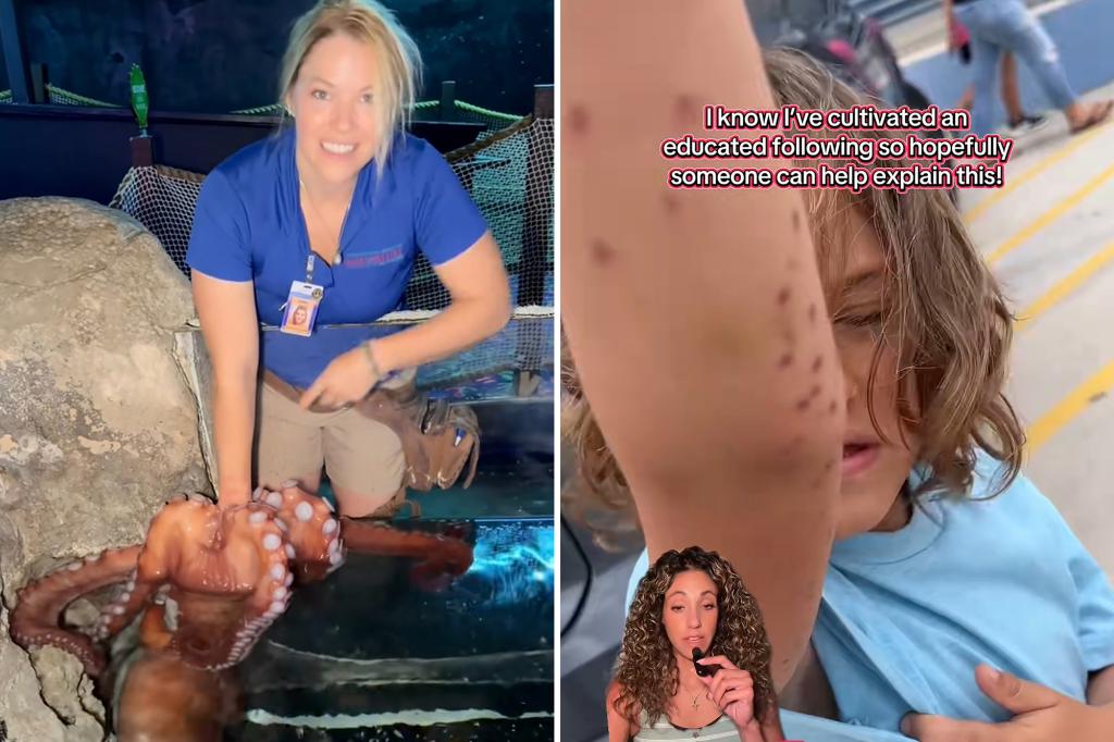 Angry mom blasts ‘wild’ giant octopus attack on child at aquarium: ‘I’m about to become a menace’