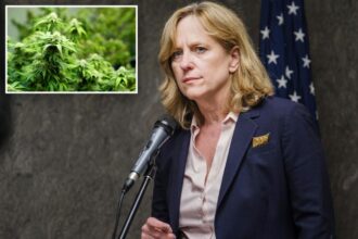 NY authorities crack .5M drug smuggling ring, seize over 2K pounds of illegal weed : DA’s office
