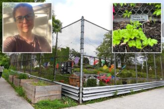 Anti-Israel community garden in Queens claims ‘viewpoint discrimination’ in new lawsuit