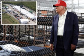 Federal judge orders construction pause at Florida’s ‘Alligator Alcatraz’ migrant detention center 