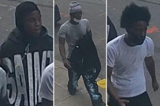 Gun-toting NYC trio steals K Cartier Santos watch off man’s wrist
