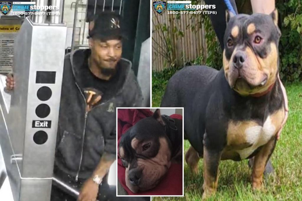 Heartless straphanger snatched sleeping passenger’s dog on NYC subway