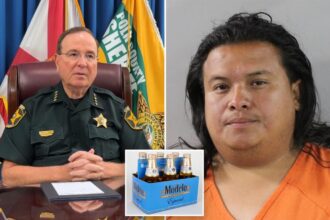 Nicaraguan man illegally in US facing ‘enhanced’ charges after drunken hit-and-run: sheriff