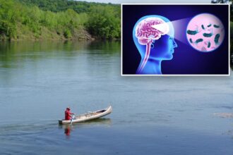 Brain-eating amoeba kills Missouri patient at St. Louis hospital