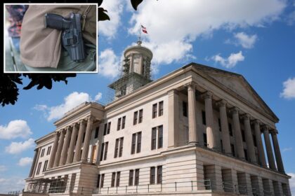 Tennessee judges deem ban on guns at playgrounds ‘unconstitutional’