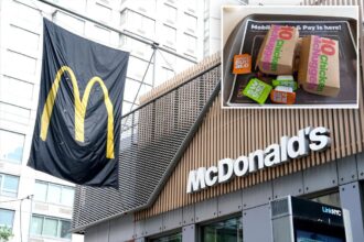 Here’s what you can eat at McDonald’s without gaining weight, nutritionist says