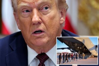 Federal judge blocks Trump from swiftly deporting illegal migrants from the interior of the country