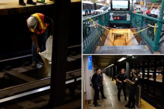 54-year-old man tragically hit and killed by subway in Harlem