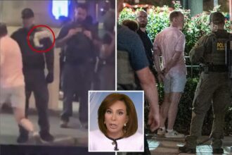 Jeanine Pirro blames elitist jurors who don’t take crime seriously for failure to indict DC sandwich slinger