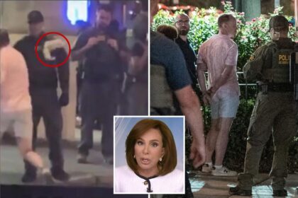 Jeanine Pirro blames elitist jurors who don’t take crime seriously for failure to indict DC sandwich slinger
