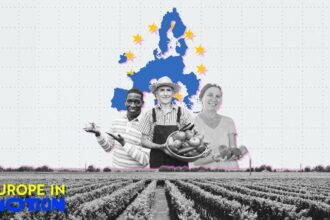 Which EU countries harvest the most fruit and vegetables?