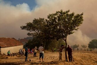 Spain reports nearly 400,000 hectares burned and 37 arrests in fires