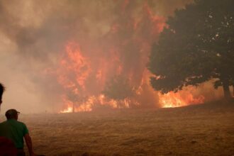 Record amount of wildfire destruction marks dark year for Europe