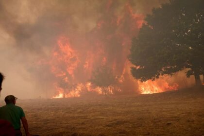 Record amount of wildfire destruction marks dark year for Europe