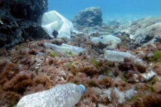 Hunting microplastics: French scientists sound the alarm on plastic pollution