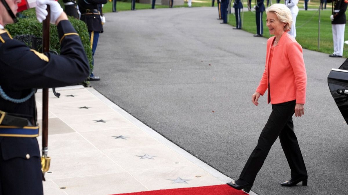 Was von der Leyen kicked out of the Trump-European leaders meeting?