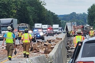 Hot dogs spill across interstate after tractor trailer crash to clog commute for steamed motorists